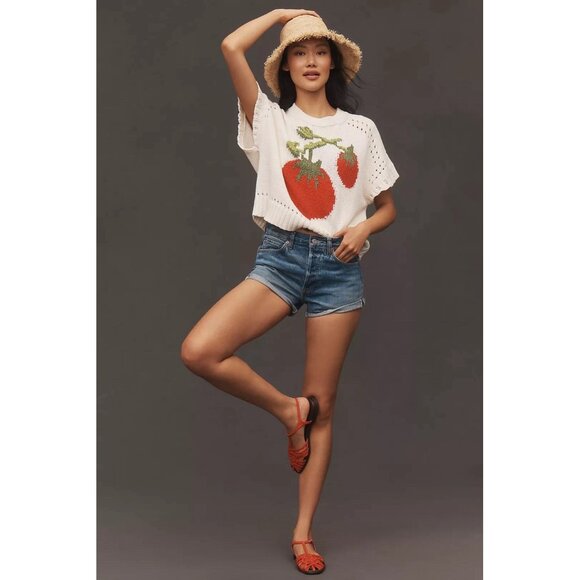 NWT Size 1X -Maeve Short-Sleeve Crew-Neck Veggie Motif Graphic Sweater Tomato - Picture 7 of 17